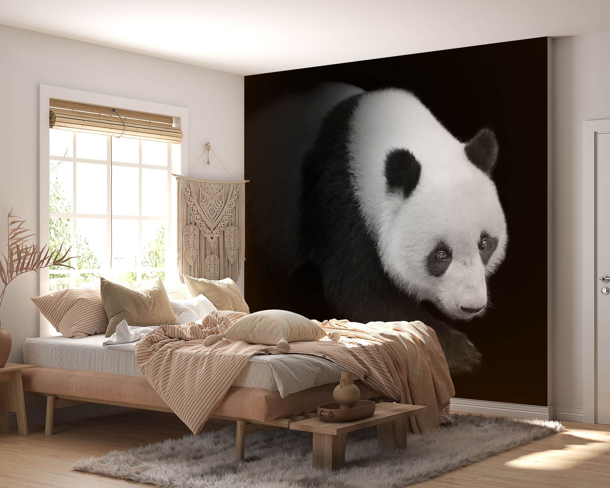 Pandabeer lopend vanuit het donker - LW00240