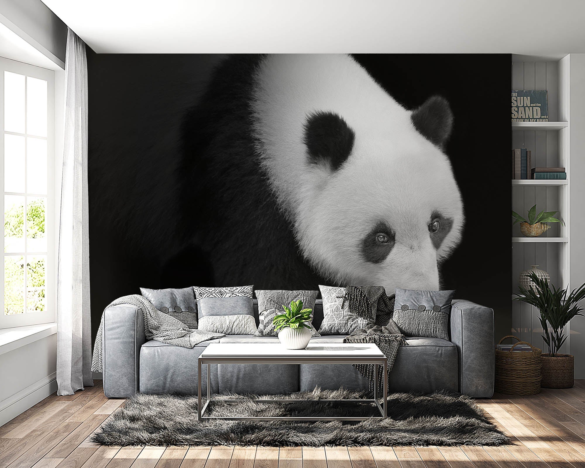 Pandabeer lopend vanuit het donker - LW00240
