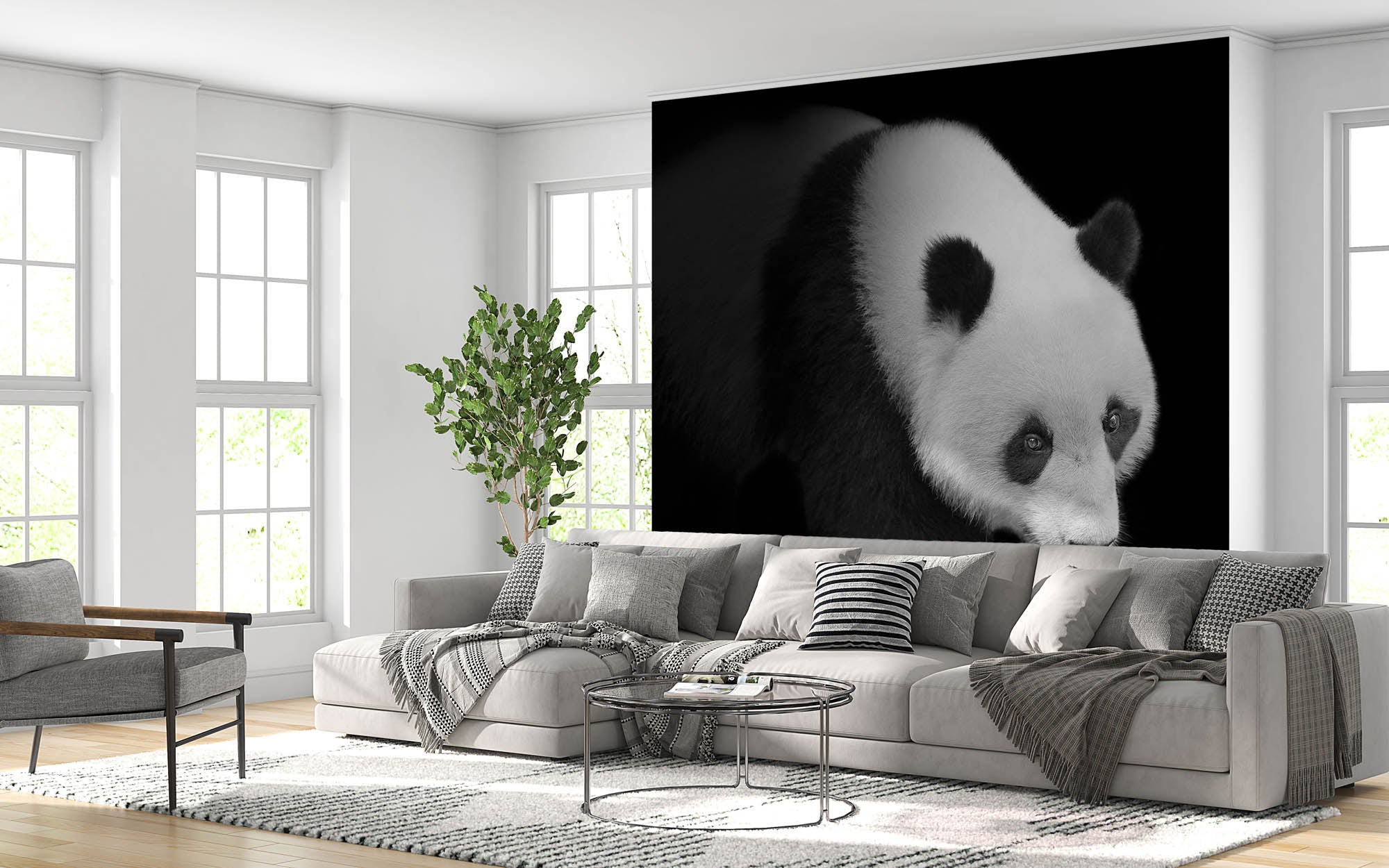 Pandabeer lopend vanuit het donker - LW00240