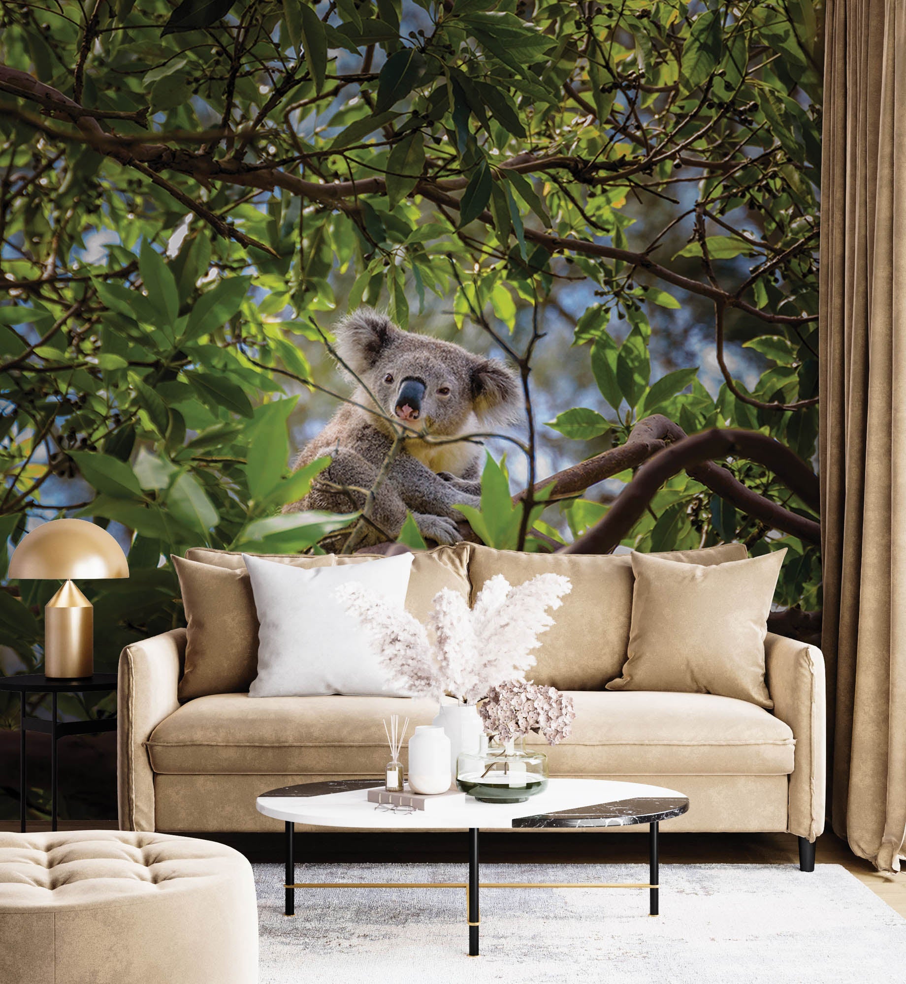 Koala sur une branche d'arbre d'eucalyptus - LW00185