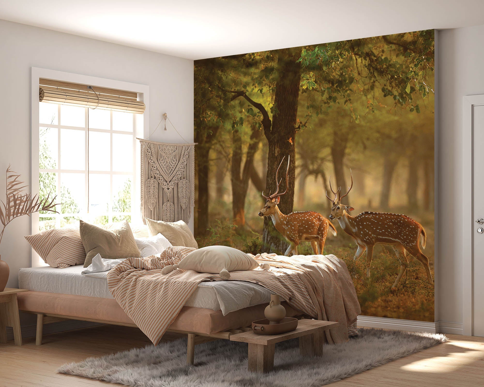 Twee herten in natuurlijke omgeving - LW00187