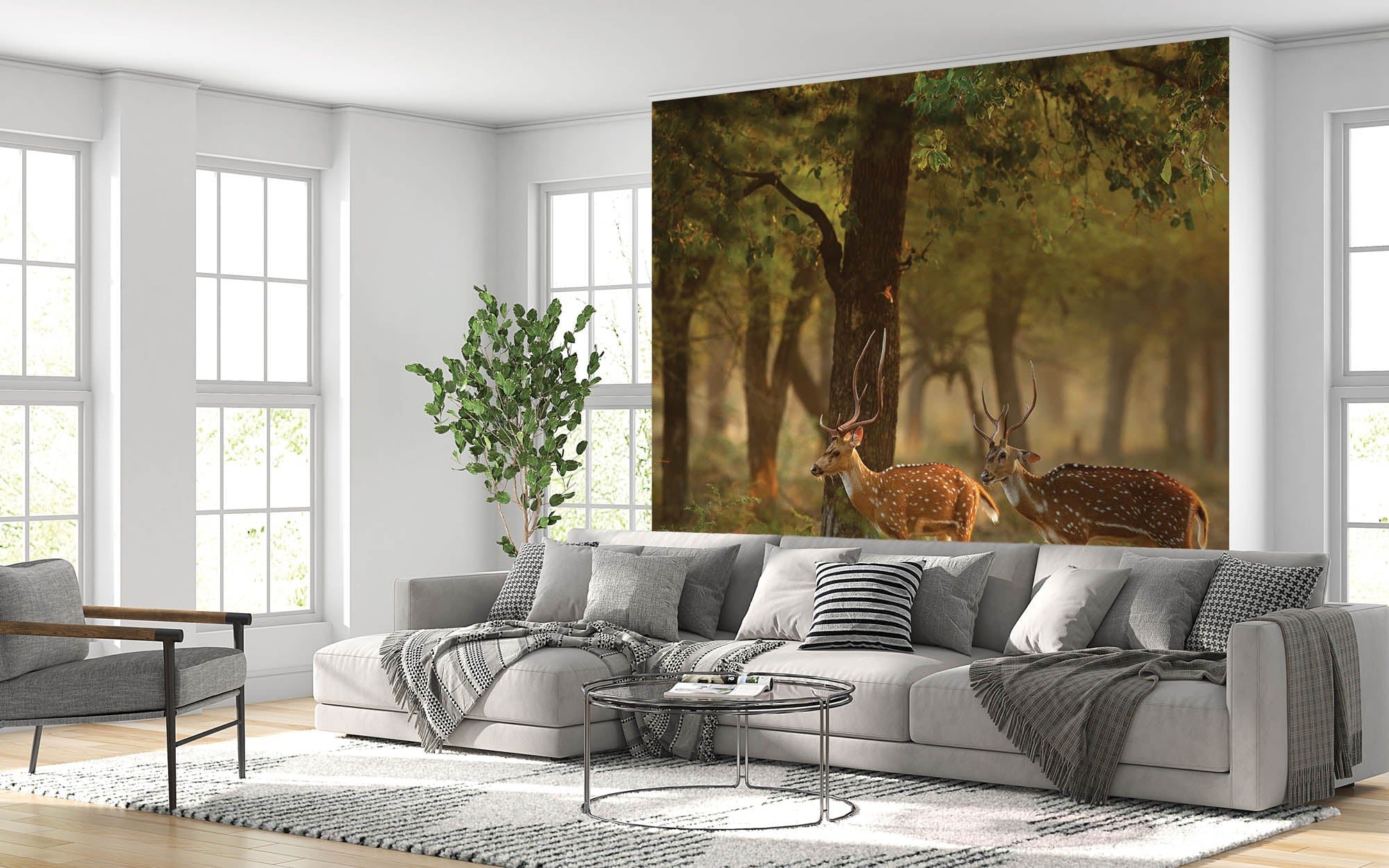 Twee herten in natuurlijke omgeving - LW00187