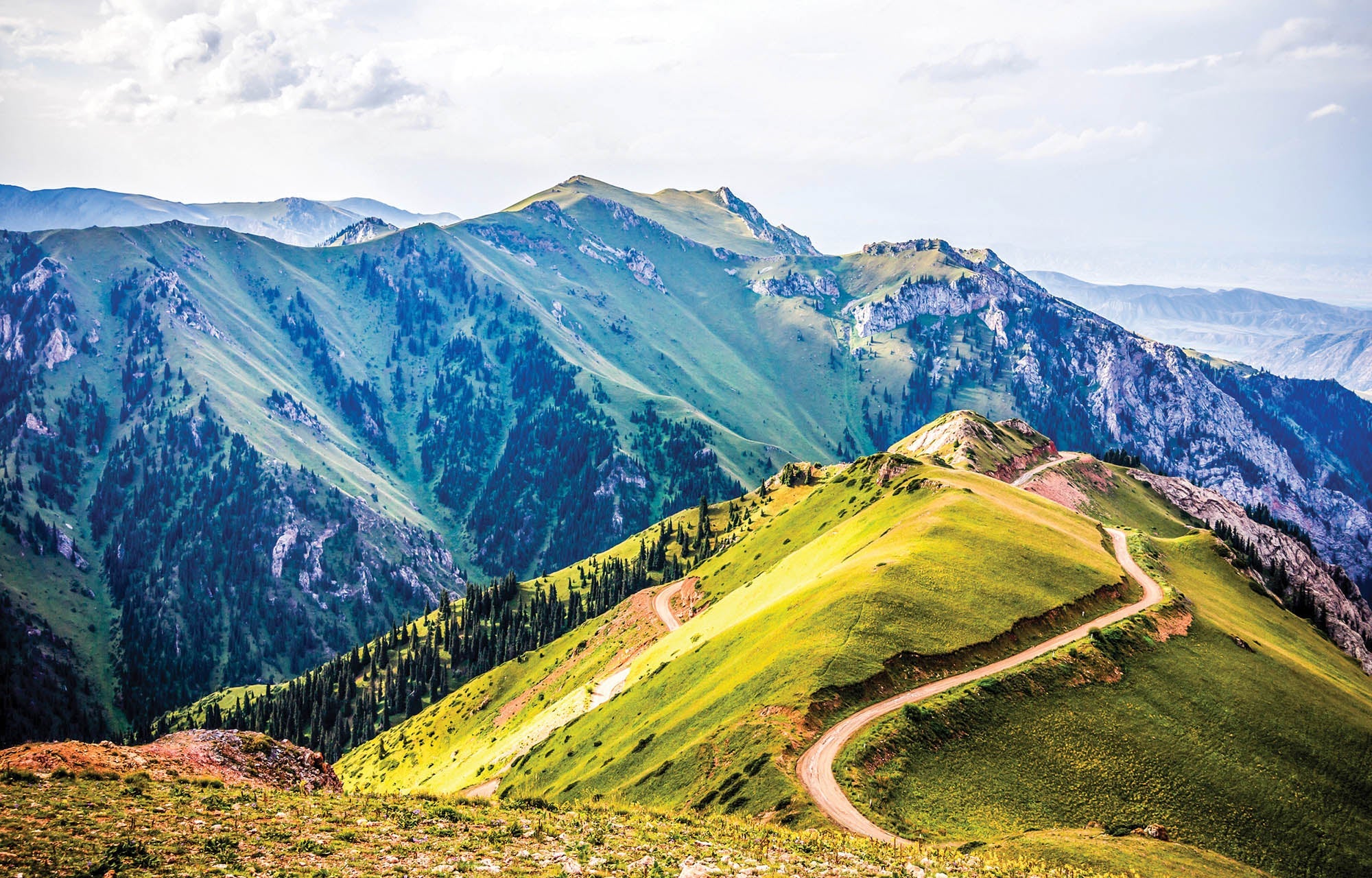 Bergpad in zomer - LW00142