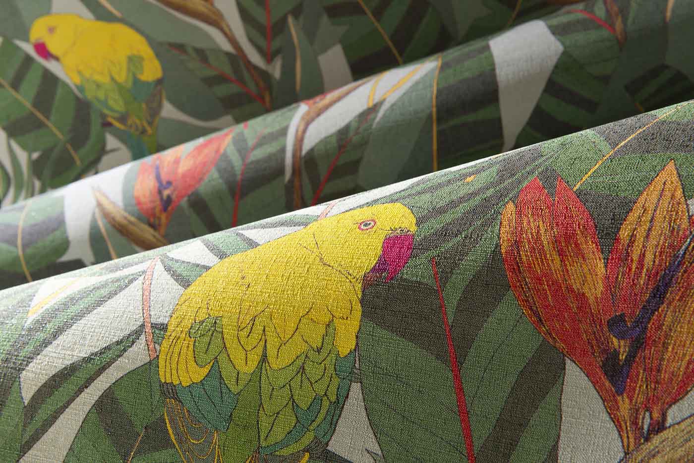 Arte Curiosa Arcadia 13571