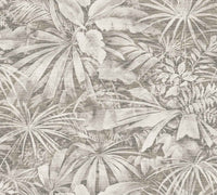 Arte Curiosa Grove 13521