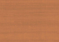 Arte Paleo Latus 50514