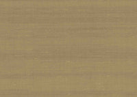 Arte Paleo Latus 50515