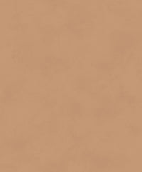 Khrôma The Colour Book Color Camel BLONE1014