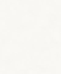 Khrôma The Colour Book Color Ash BLONE1021