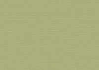 Arte Birds Of Paradise Silky BOP317