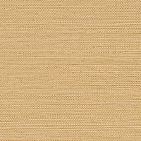 Casamance Golfe Du Bengale Zostera - 75971936