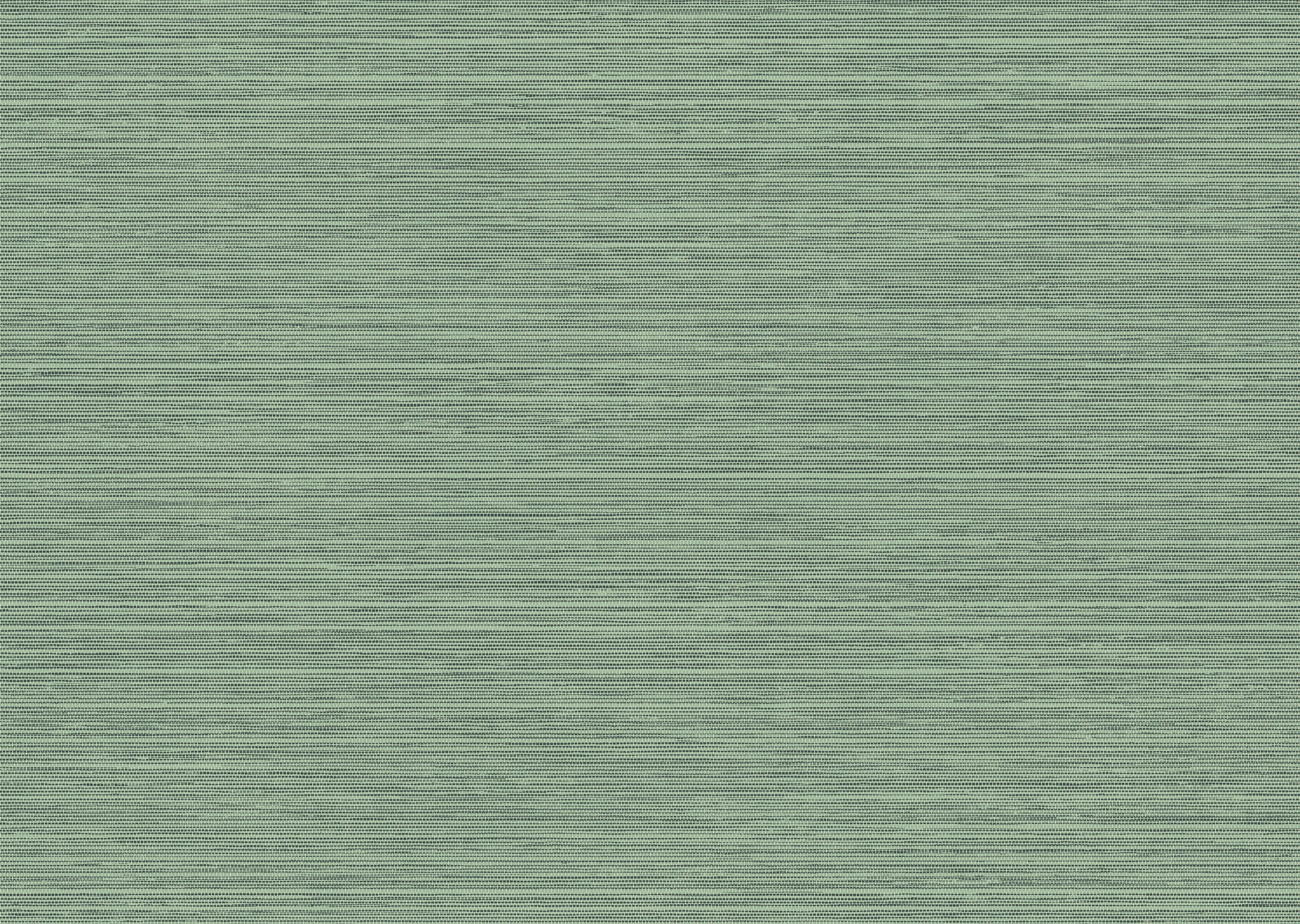 Arte Essentials Les Naturels Le Sisal 26711