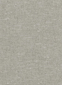 Arte Les Nuances Chanderi 91507