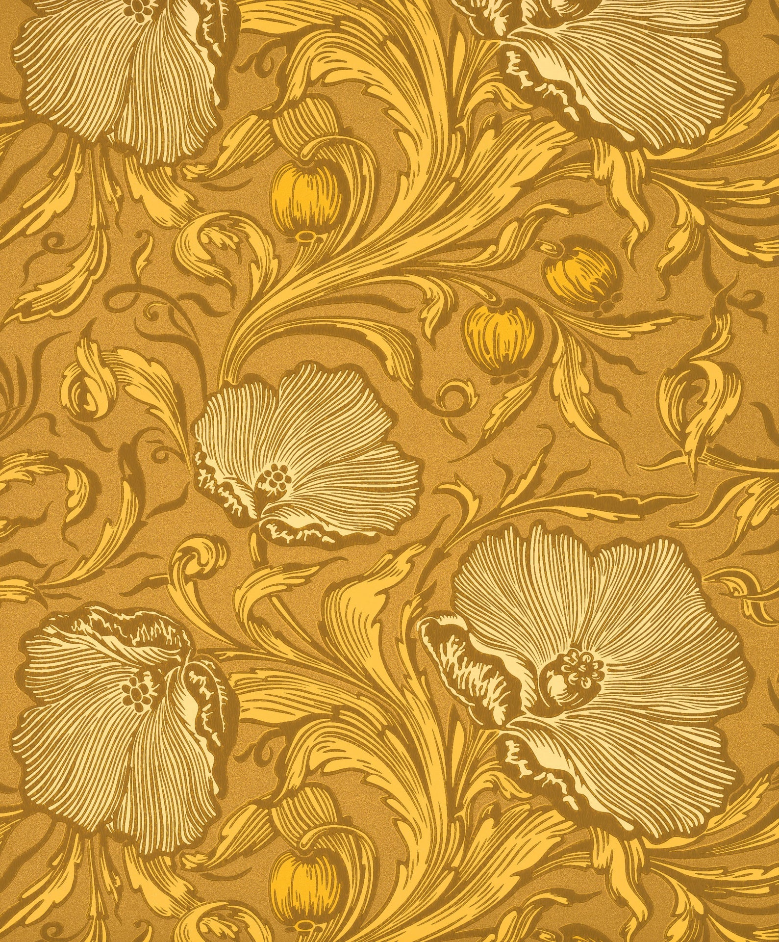 Little Green National Trust III Poppy Trail Yellow Pink