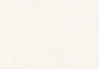 Hooked on Walls New Bali 46800