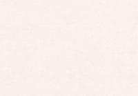 Hooked on Walls New Bali 46801