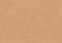 Hooked on Walls New Bali 46816