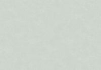 Hooked on Walls New Bali 46818