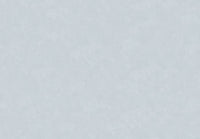 Hooked on Walls New Bali 46832