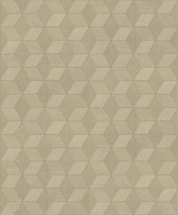 Khrôma Orbital Solid Ash ORB502