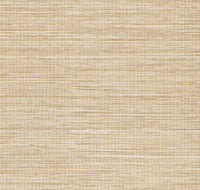 Arte Pampas Sombra 73544