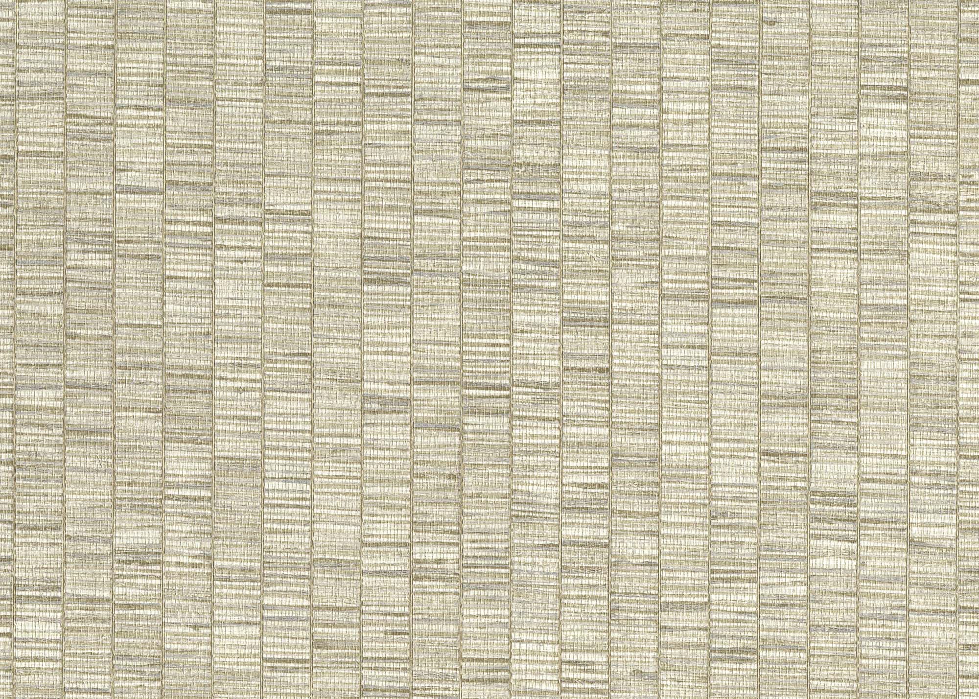 Hooked on Walls Passe Partout 2024 Unito Ribbon Grass 89580