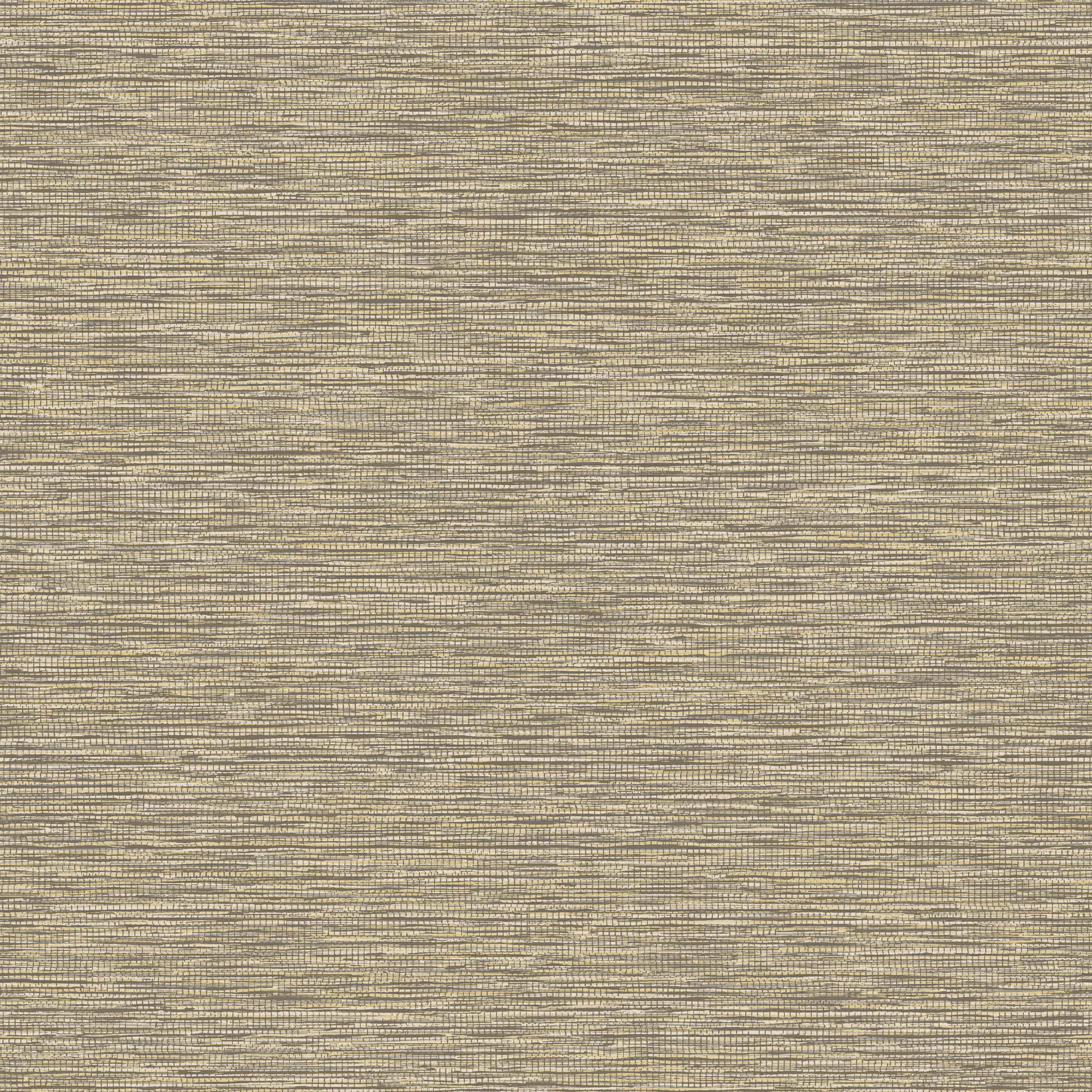 Hooked on Walls Passe Partout 2024 - 89723