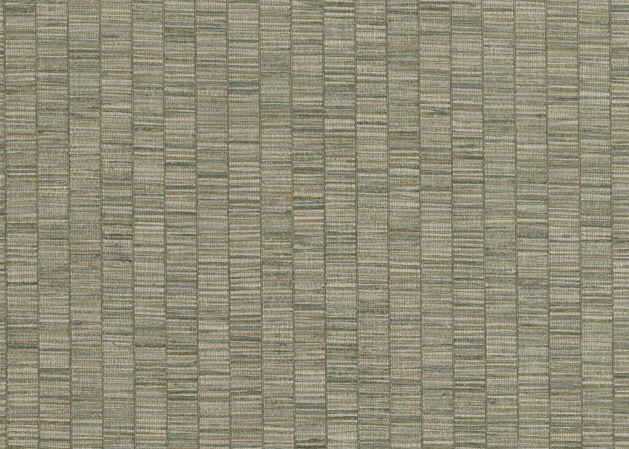 Hooked on Walls Passe Partout 2024 Unito Ribbon Grass 89726