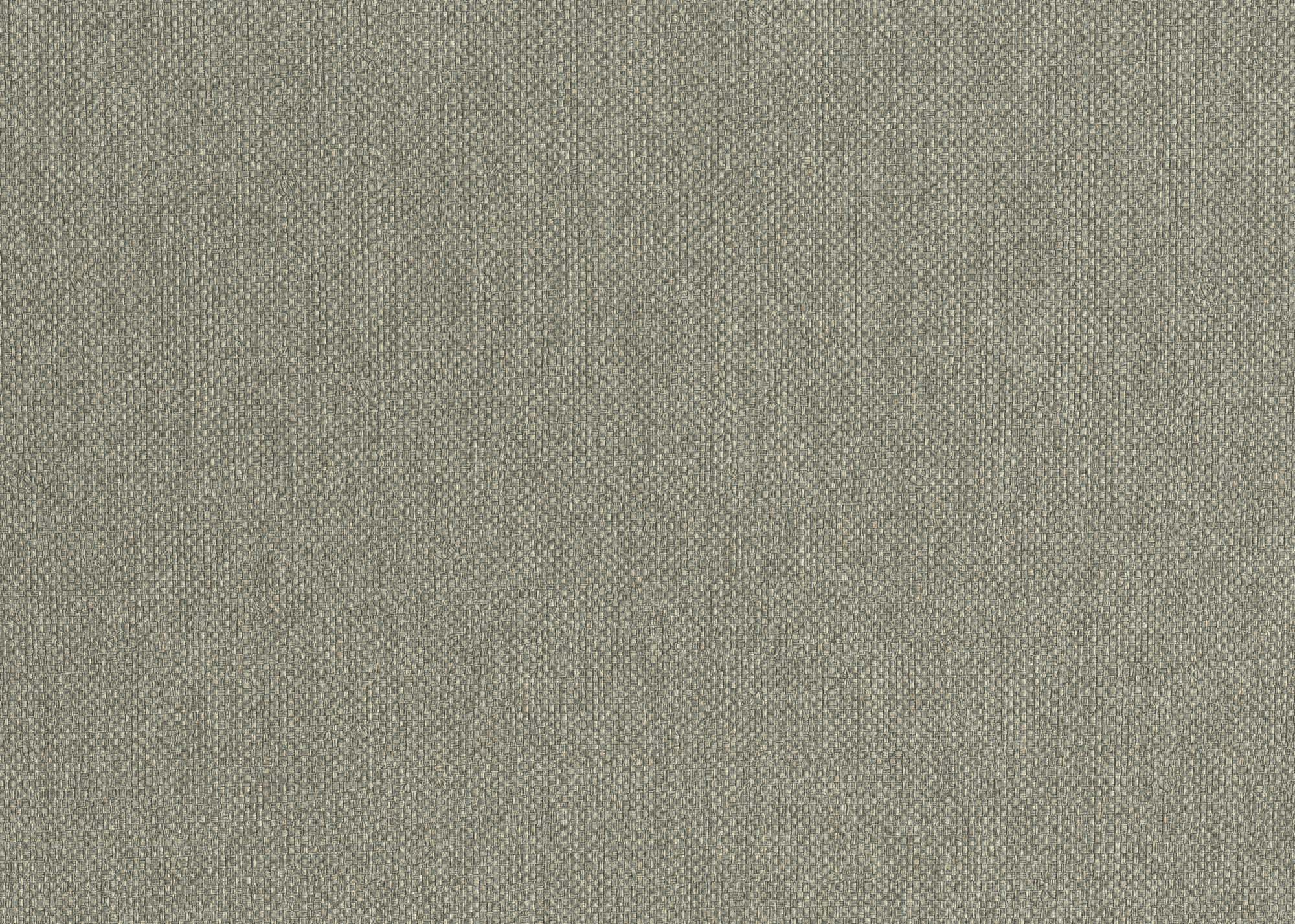 Hooked on Walls Passe Partout 2024 Baobab 89730