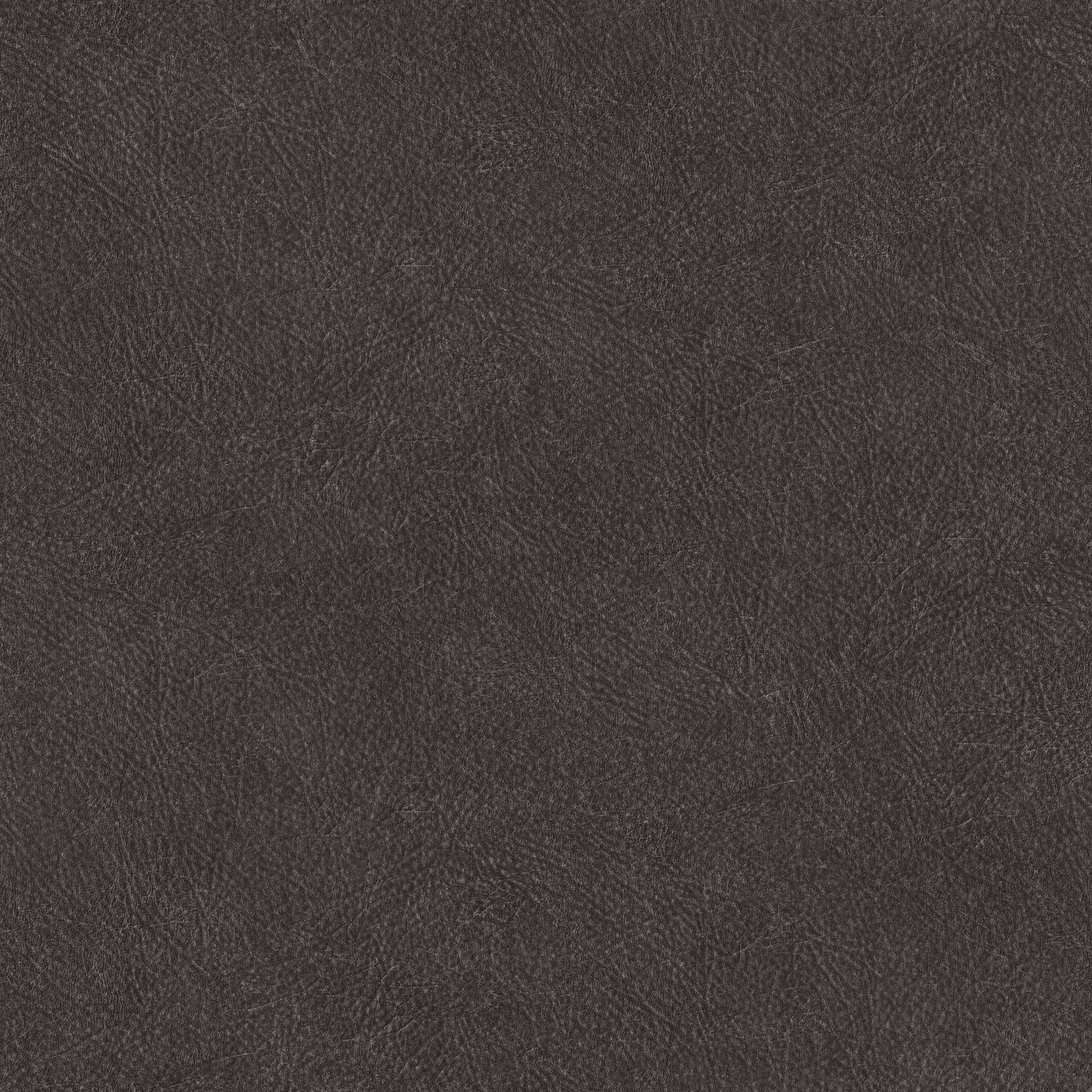Hooked on Walls Passe Partout 2024 Leather Plain 89773