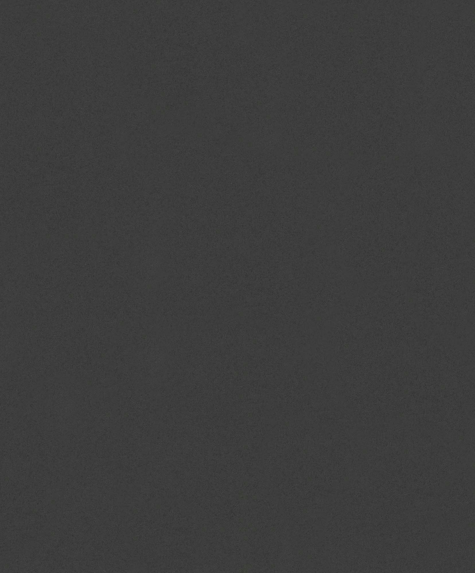 Hooked on Walls Passe Partout 2024 - 89782