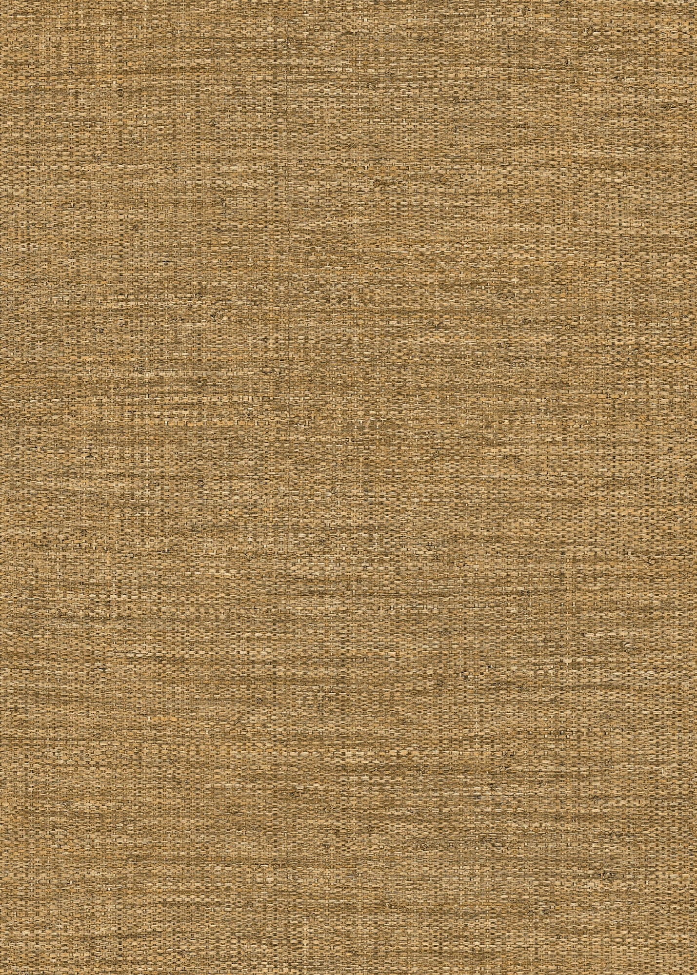 Hooked on Walls Passe Partout 2024 Straw 89789