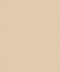 Hooked on Walls Passe Partout 2024 - 89792