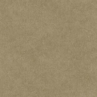 Hooked on Walls Passe Partout 2024 Leather Plain 89795