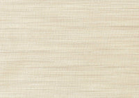 Hooked on Walls Passe Partout 2024 Unito Rafia 89808