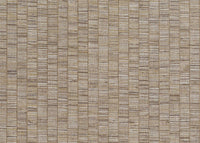 Hooked on Walls Passe Partout 2024 Unito Ribbon Grass 89812