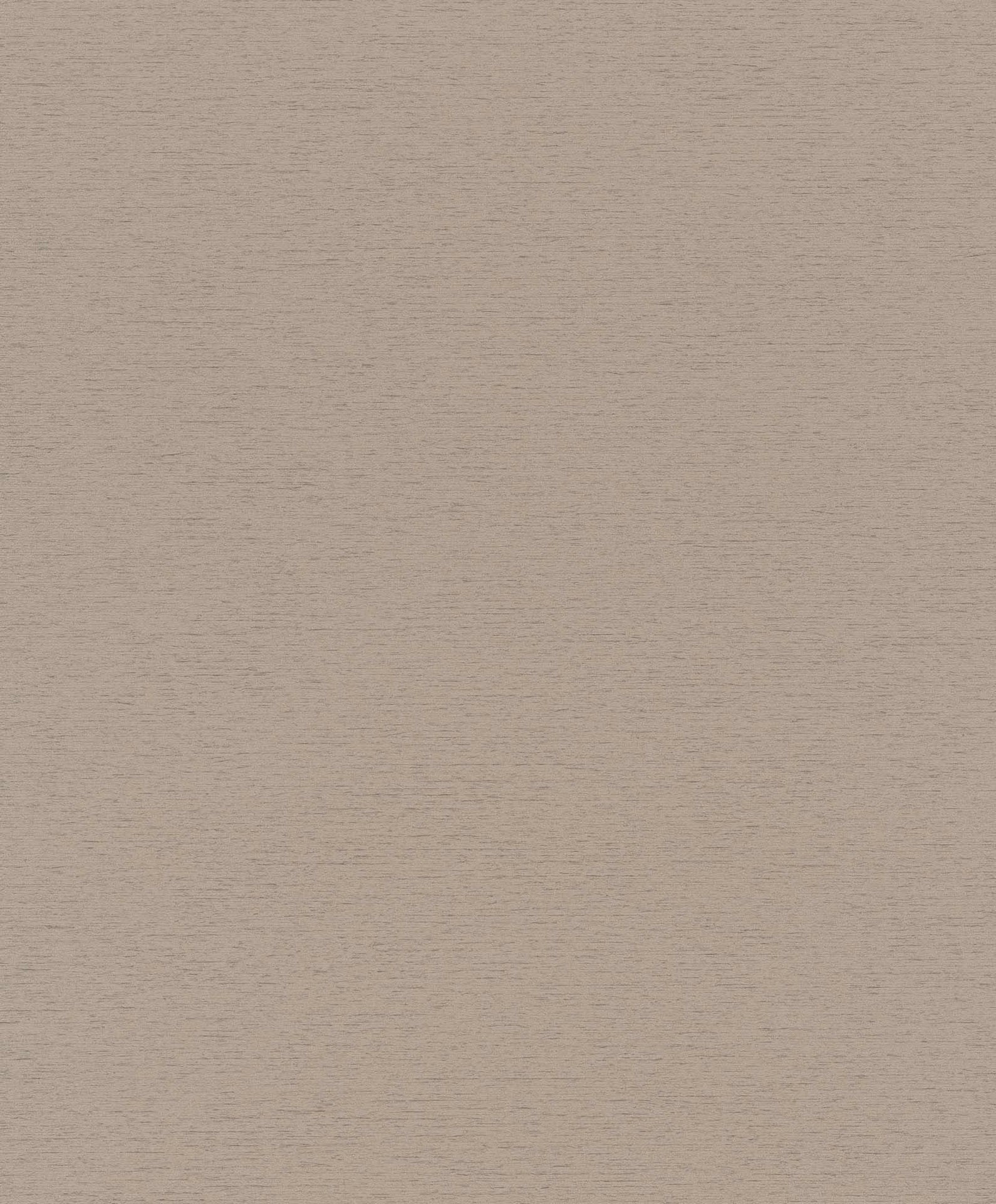 Hooked on Walls Passe Partout 2025 Travertino 4448