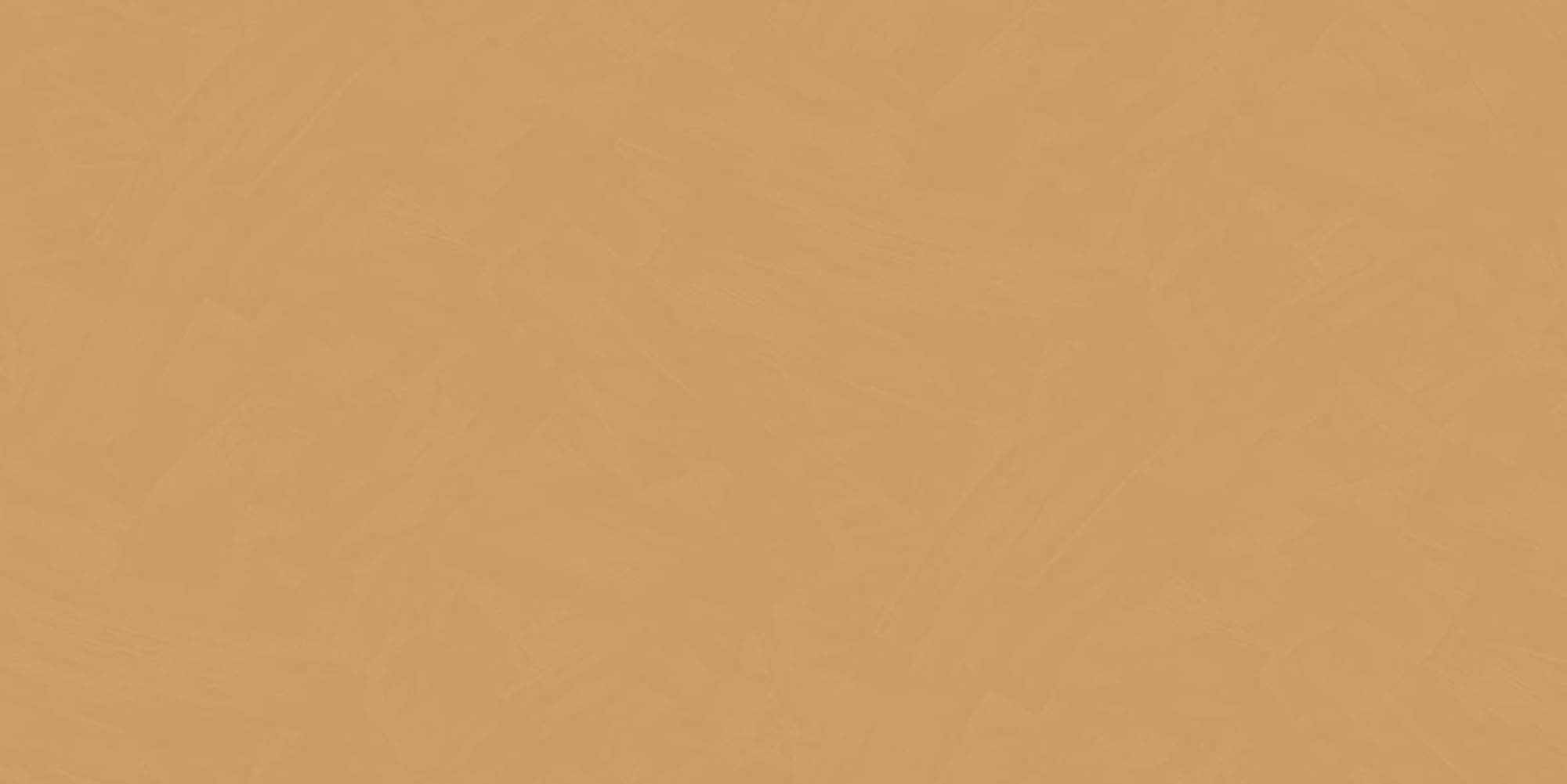 Hooked on Walls Passe Partout 2025 Tadelakt Plain 4463