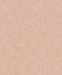 Hooked on Walls Passe Partout 2025 Shades 4470