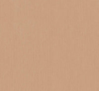 Hooked on Walls Passe Partout 2025 - 4471