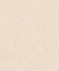 Hooked on Walls Passe Partout 2025 Shades 4478