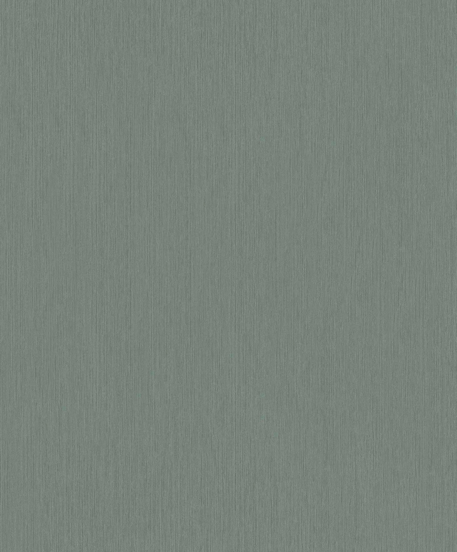 Hooked on Walls Passe Partout 2025 - 4560