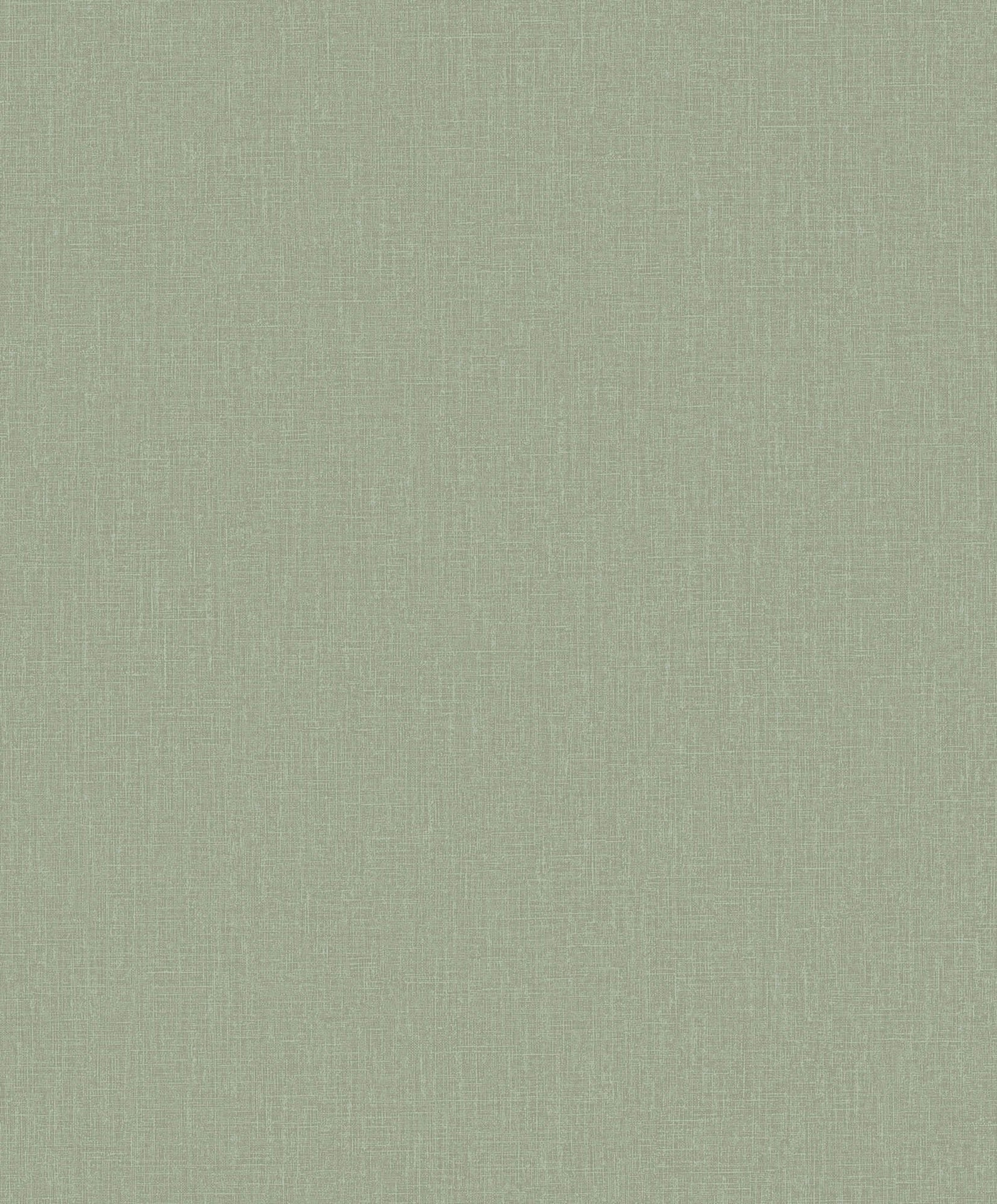 Hooked on Walls Passe Partout 2026 Colour Vibes Plain 29804