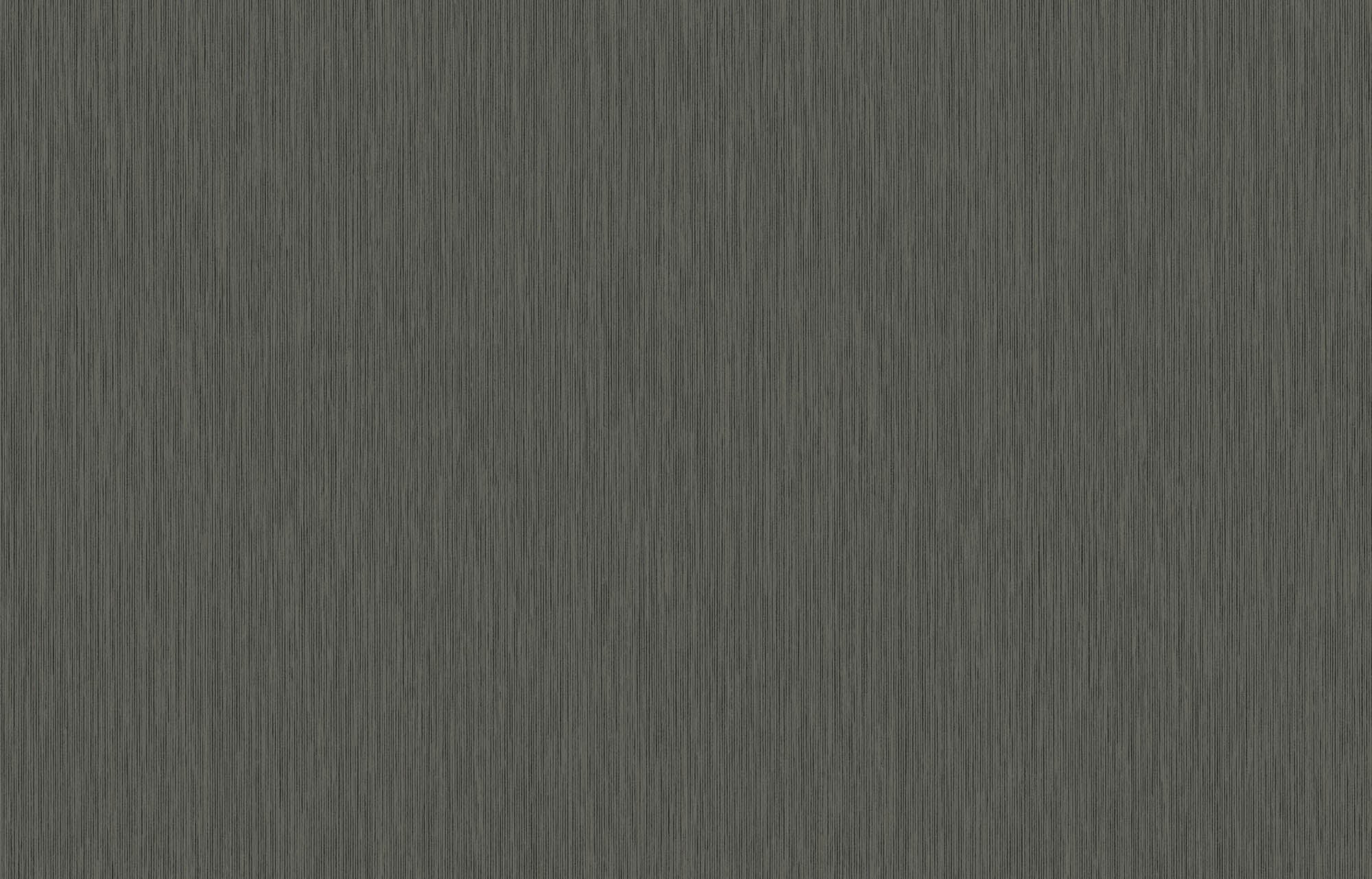 Hooked on Walls Passe Partout 2026 Color Vibes Yucca Plain 29933