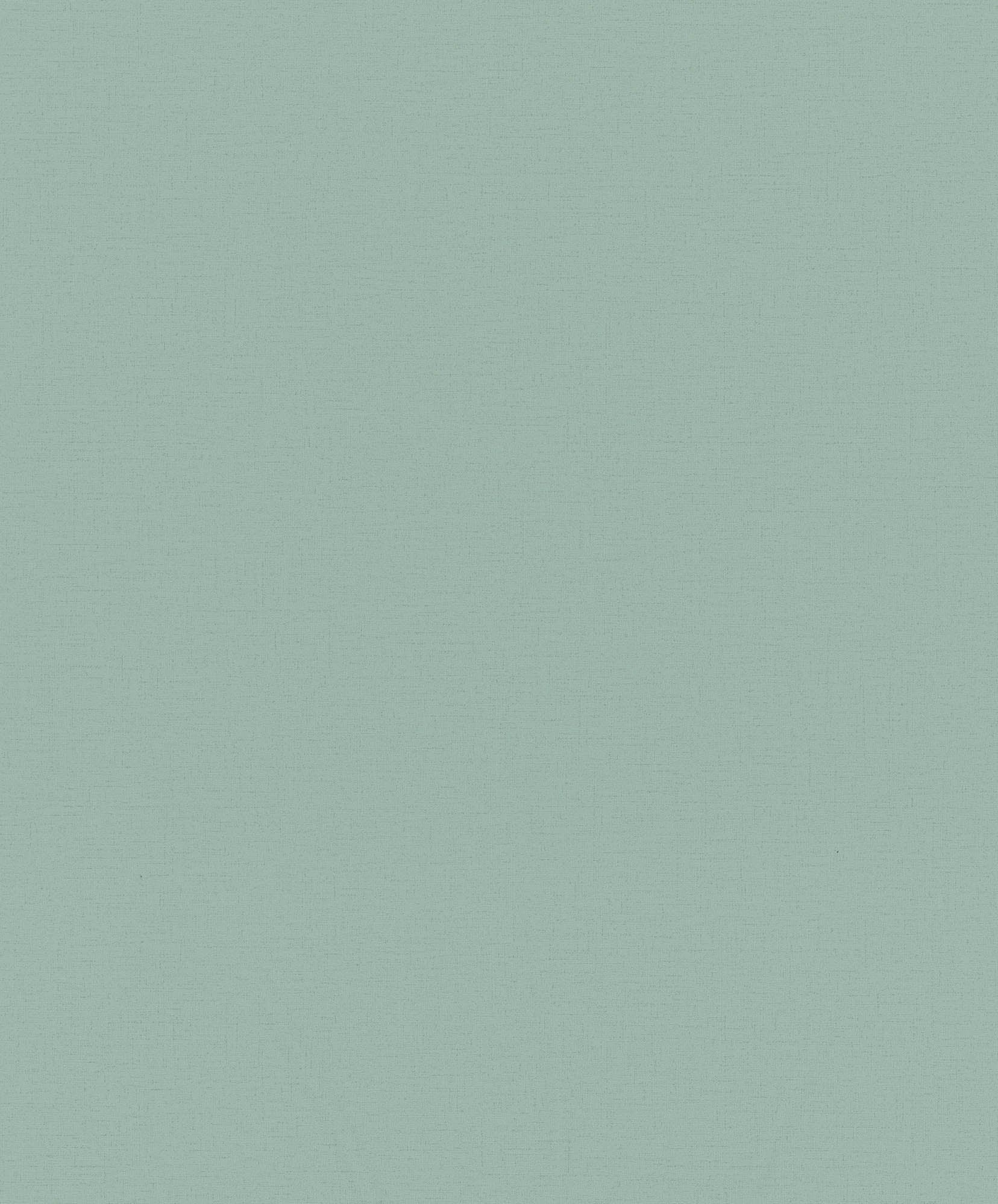 Hooked on Walls Passe Partout 2026 Color Vibes Uni 29946