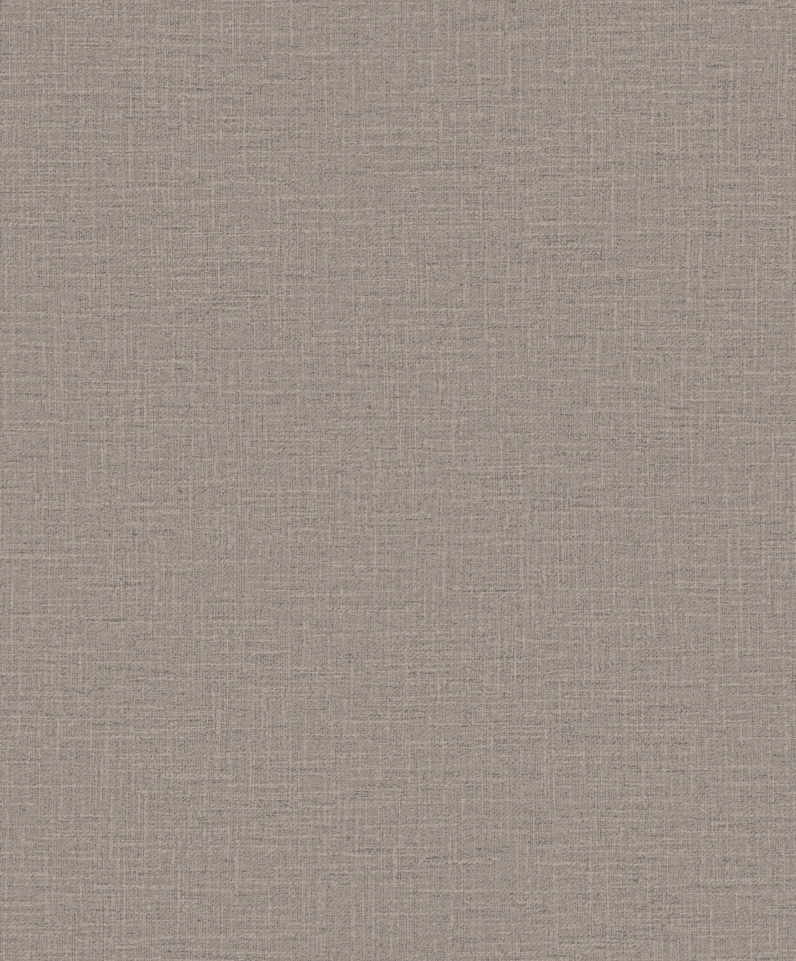 Hooked on Walls Promenade Dune 20223