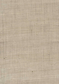 Arte Wild Silk Ghicha Silk 86544