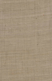 Arte Wild Silk Ghicha Silk 86548