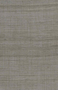 Arte Wild Silk Ghicha Silk 86551