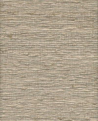 Arte Wild Silk Katia Silk 86504